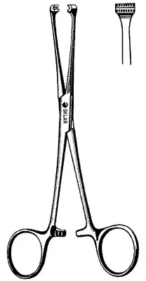 Sklar - Econo - 21-941 - Tissue Grasping Forceps Econo Allis 6 Inch Length Floor Grade Pakistan Stainless Steel Nonsterile Ratchet Lock Finger Ring Handle Straight Blunt Vertical Serrated Jaws With Double Row Of Atraumatic Teeth