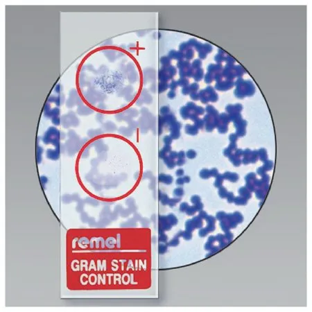 Remel - QC-Slide - R40142 - Microbial Identification Control Slide QC-Slide Gram Stain
