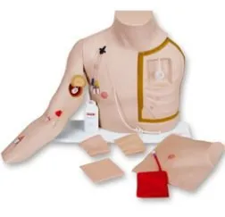 Laerdal Medical - Chester Chest - VT-2400-ADV - Training Chest with Advanced Arm Chester Chest Torso / Light Skin Tone Male Adult