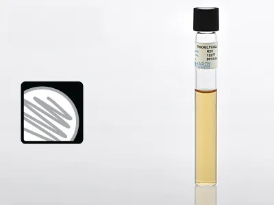 Hardy Diagnostics - K29 - Prepared Media Thioglycollate Medium Beige Tube Format