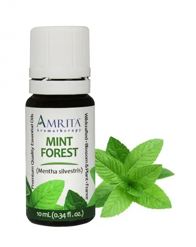 Amrita Aromatherapy - EO3882 - 10ml Essential Oils Mint Forest 10ml