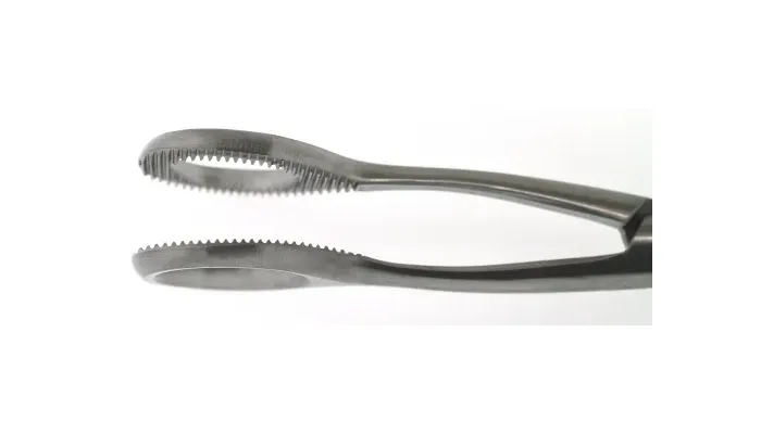 BR Surgical - BR48-25016 - Collin Tongue Holding Forceps