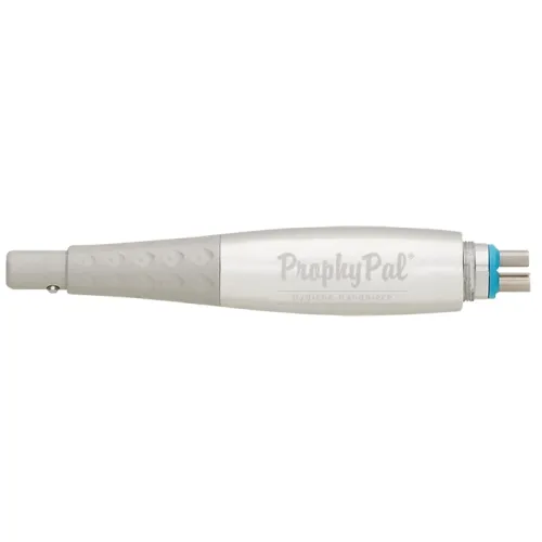 Young Dental - From: 750003 To: 755001 - Manufacturing Dentacator ProphyPal Silver Nosecone, 1/bg (US Only)